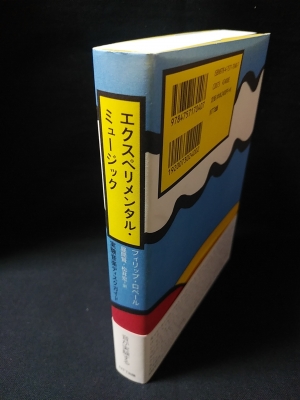 エクスペリメンタル・ミュージック : 実験音楽ディスクガイド エクス