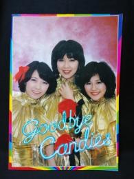 キャンディーズ　Goodbye Candies　コンサートパンフレット　1978年