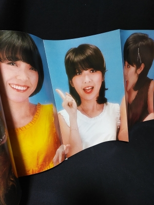 さよならキャンディーズ ヤング・アイドル・ナウ別冊 引退記念
