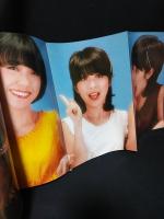 さよならキャンディーズ　ヤング・アイドル・ナウ別冊　引退記念完全保存版　ケイブンシャ