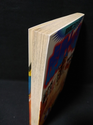 虎戦士への道 四代目タイガーマスクの挑戦!! 格闘コミック 1(真樹日佐