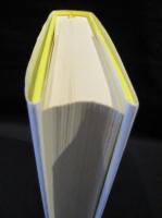 罵倒文学史　19世紀フランス作家の噂の真相