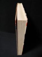 ハント・ハント・ハント　若木書房 ティーンコミックスデラックス