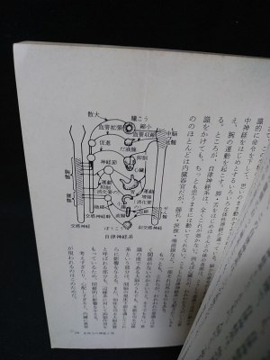 仙人不老不死学