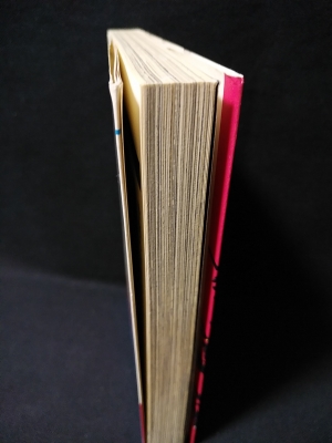 哀しみのエチュード 立風書房 レモンコミックス(杉本啓子