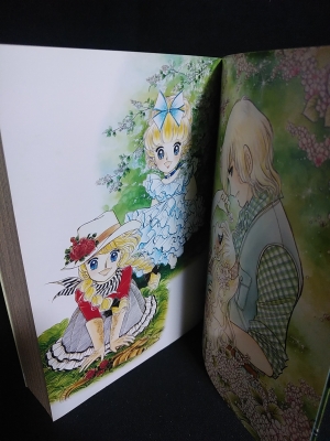 愛蔵版 メイミー・エンジェル(いがらしゆみこ) / 古本、中古本、古書籍