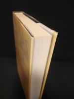 窮余の策　小説