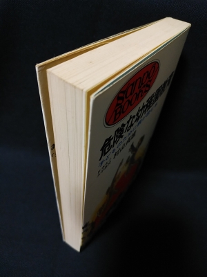 危険な幼稚園教育 子どものために親が読む本 初版 サンポウブックス 