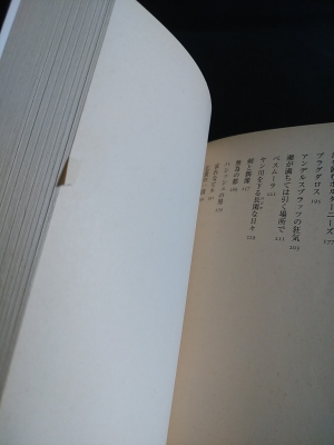 夢見る人の物語 河出文庫(ロード・ダンセイニ 中野善夫 , 中村融