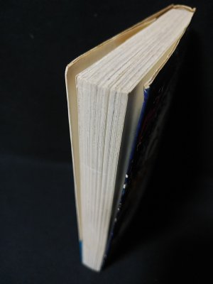 二*日様 今日という名の明日が来る 山田美根子 今日という名の明日が来る（非貸本） ヒロ書房 ビッグシリーズ(山田