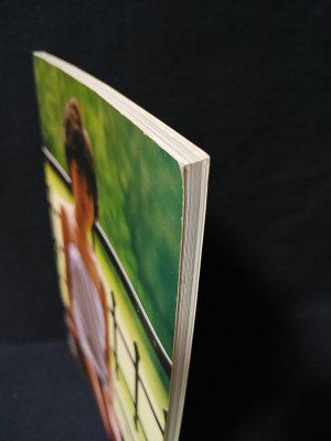 昭和58年／石野真子写真集／プレイボーイアイズ特別編集・集英社　撮影／沢渡朔。 昭和58年／石野真子写真集／プレイボーイアイズ特別編集・集英社