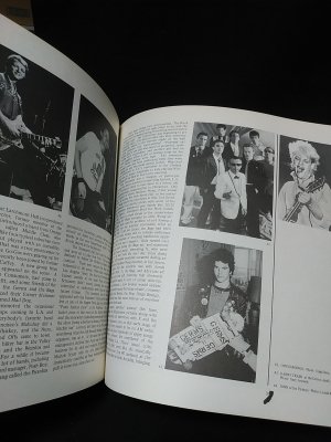 HARDCORE CALIFORNIA: A HISTORY OF PUNK 本 HARDCORE CALIFORNIA A HISTORY OF PUNK AND NEW WAVE (PETER