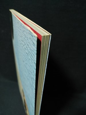 高田美和写真集 夢陽炎(池谷朗 撮影) / 古本、中古本、古書籍の
