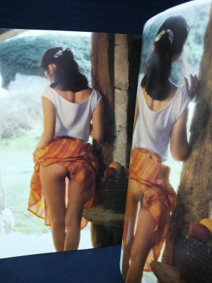 山本ゆか里写真集 カルバドスの日 週刊プレイボーイ特別編集 遠藤正撮影 古本 中古本 古書籍の通販は 日本の古本屋 日本の古本屋
