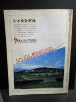 新建築　1979年6月臨時増刊　和風建築　手法とコスト分析