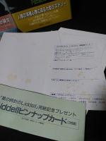 星の時詩のLiddell 全3巻 草迷宮・草空間 全1巻￼ ピンナップカード 星の時詩のLiddell 全3巻 草迷宮・草空間 全1巻