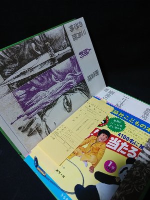 人間豹 少年版江戸川乱歩選集 (江戸川乱歩・作 山村正夫・文