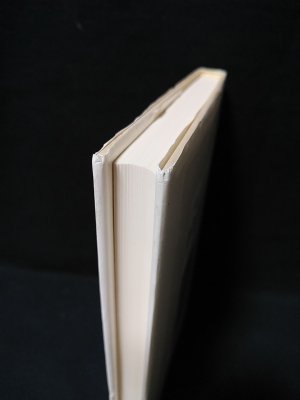 愚者と遊び スタ-ンの文学世界  /法政大学出版局/泉谷治（単行本） 愚者と遊び スターンの文学世界(泉谷治) / 古本、中古本、古書籍