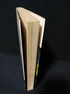 秘法ヨガ入門 (藤本憲幸 ) / 古本、中古本、古書籍の通販は