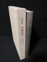 夕映少年　小説集