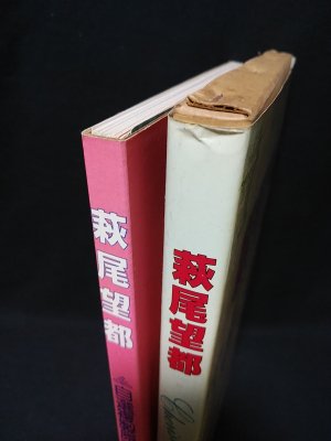 萩尾望都 自選複製原画集 チェリッシュ・ギャラリー ポスター