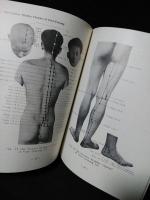 針灸取穴法　THE WAY TO LOCATE ACU-POINTS　洋書英語ペーパーバック