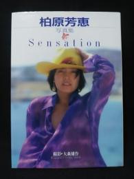 柏原芳恵写真集　Sensation　