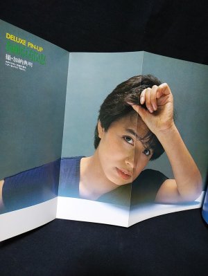 DELUXEプレイボーイ 1982年2月号 川上麻衣子表紙 岡本のえ/門脇 DELUXEプレイボーイ 1982年2月号 川上麻衣子表紙 岡本のえ/門脇