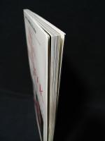 男泣かせの一品料理 池波志乃 （初版‼️レア） 池波志乃物語 熱い疾走 マイク岡田熱写館1 デラックス映画ファン