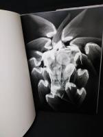 X=t The Art of X-Ray Photography　