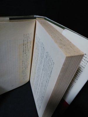 呪術と夢見 イーグルの贈り物 (カルロス・カスタネダ 真崎義博