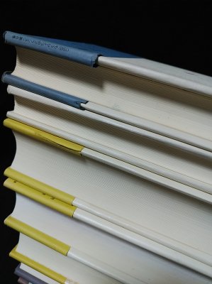 もうひとつのフランス　全8巻 1945：もうひとつのフランス 全8巻揃（全10冊揃）別巻欠 (ドリュ