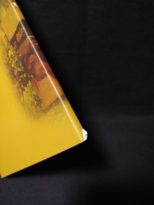会田誠 小沢剛 山口晃 大原美術館平成17年春の有隣荘特別公開 展覧会