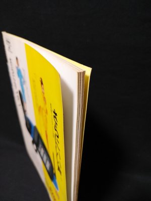 美少女図鑑 VOL.1 FLIX10月号別冊 牧瀬里穂・和久井映見・坂井