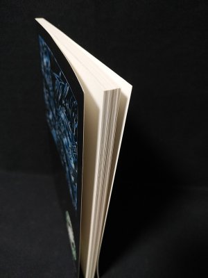 純の自己嫌悪 自選大失敗作品集 ひよこ書房ひよこコミックス