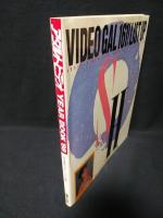 アダルトビデオYEAR BOOK’88　’88年度版アダルトビデオ年鑑　ビデパル3月増刊号　