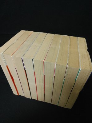 高校生無頼控 全8巻+外伝全9冊揃 重版 双葉社アクションコミックス 高校生無頼控 全8巻+外伝全9冊揃 重版 双葉社アクションコミックス