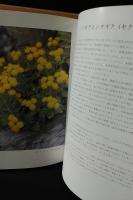 土佐の花　牧野植物園創立30周年記念　高知県