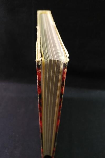 スカム・カルチャー (秋田昌美 ) / 古本、中古本、古書籍の通販