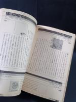 200CDテクノ/エレクトロニカ　新世代電子音楽ディスクガイド　立風書房