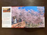 Japan Traveler's Companion