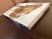 The Drawings and Graphic Works of Dürer