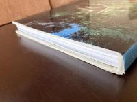 FALLINGWATER : A Frank Lloyd Wright Country House