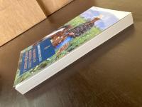 The Wines of Argentina, Chile and Latin America