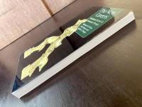 The New Careers : Individual Action & Economic Change