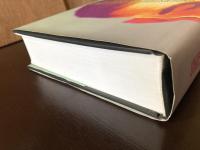 Understanding Intelligence