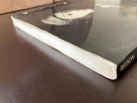 The Graphic Works of Odilon Redon : 209 Lithographs and Engravings