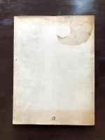 The Drawings of Great Masters : michelangelo