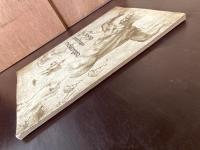 The Drawings of Great Masters : michelangelo