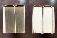 Die gantze Heilige Schrifft Deudsch 1/2/Anhang und Dokumente